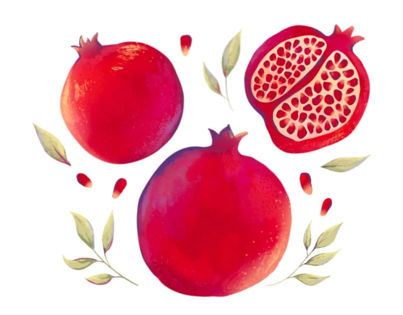 Illustration Collection: Fruits