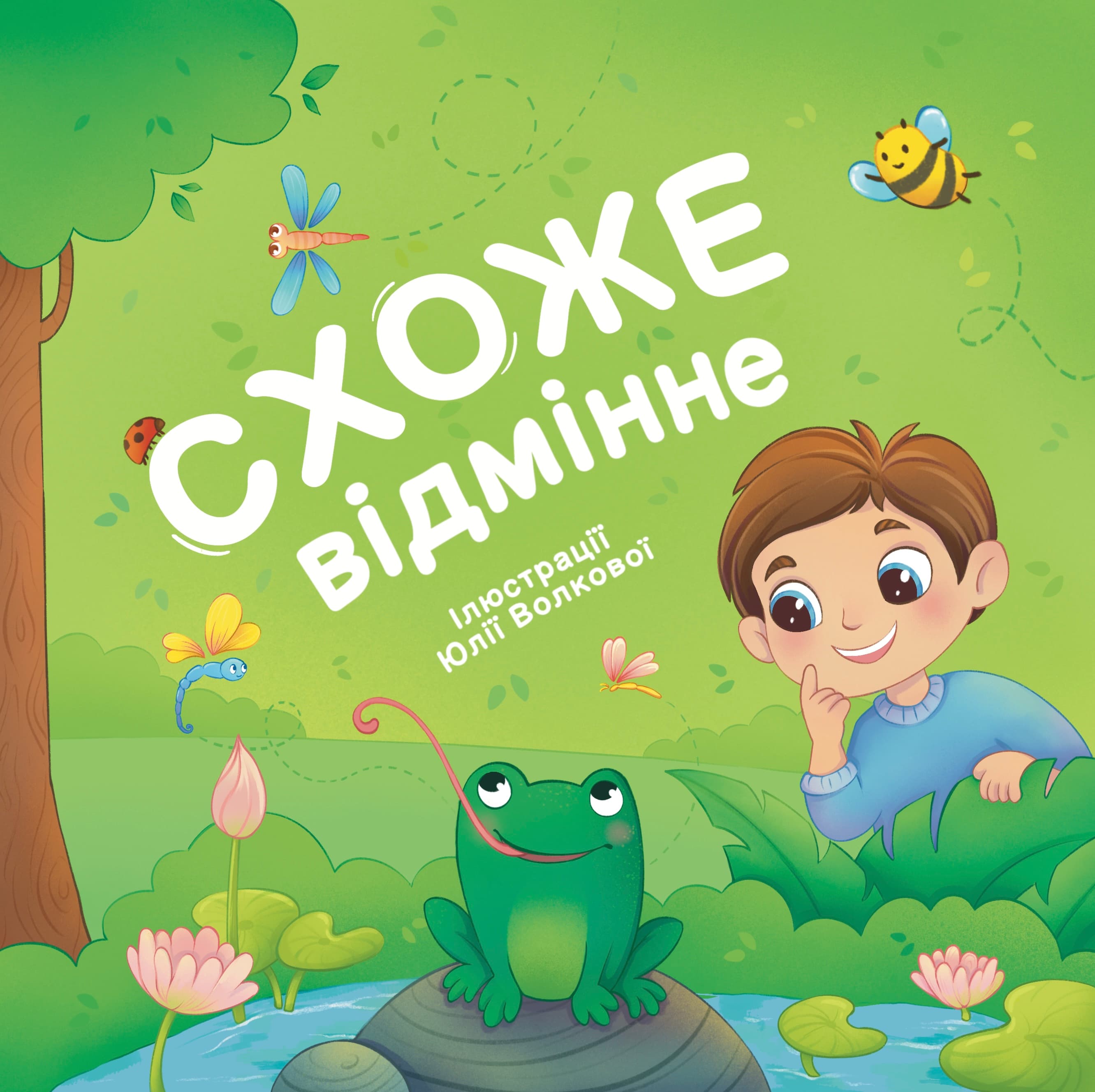 Cover of Similar and Different