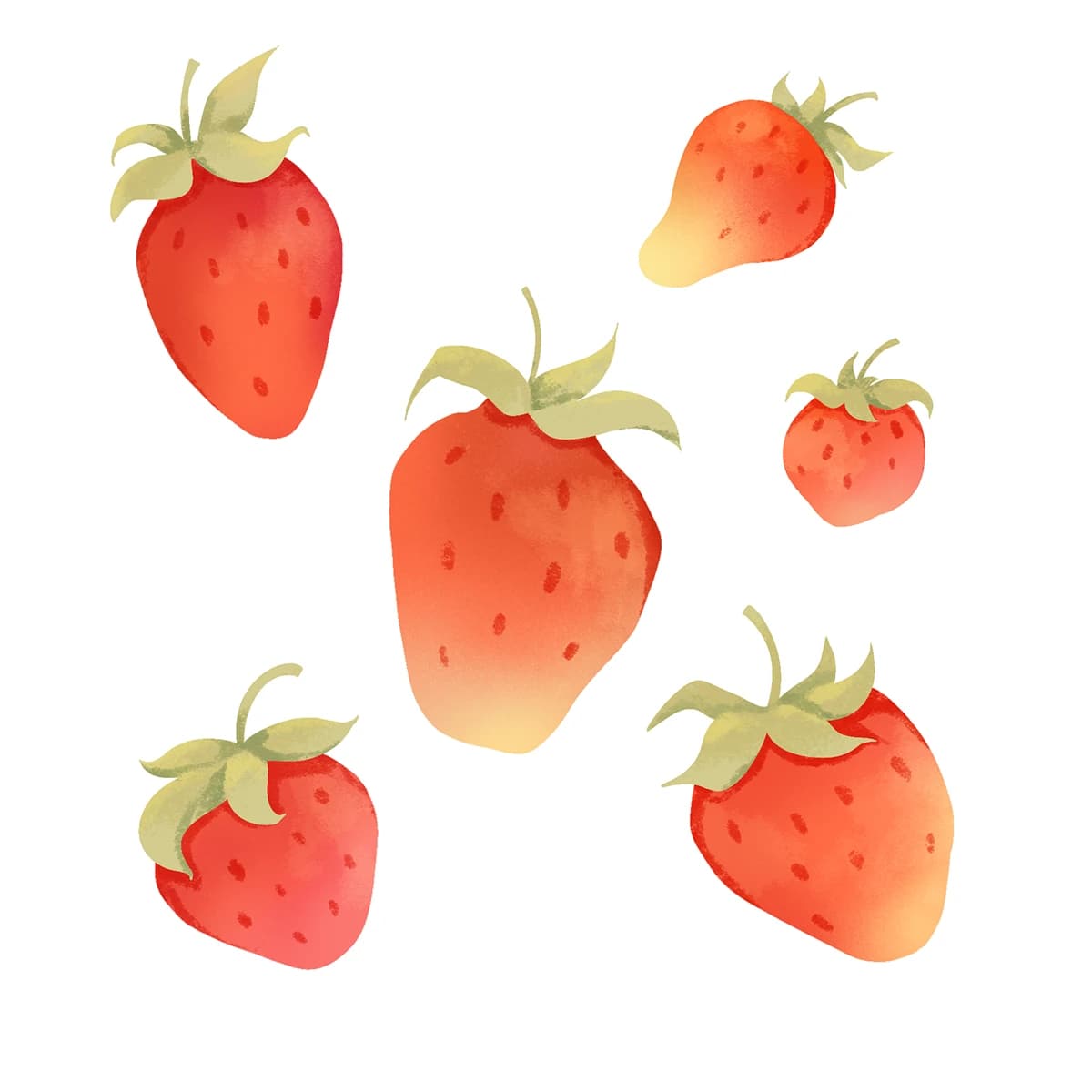 ILLUSTRATION Nature Illustrator digital illustration арт botanical illustration Fruit Digital Art book