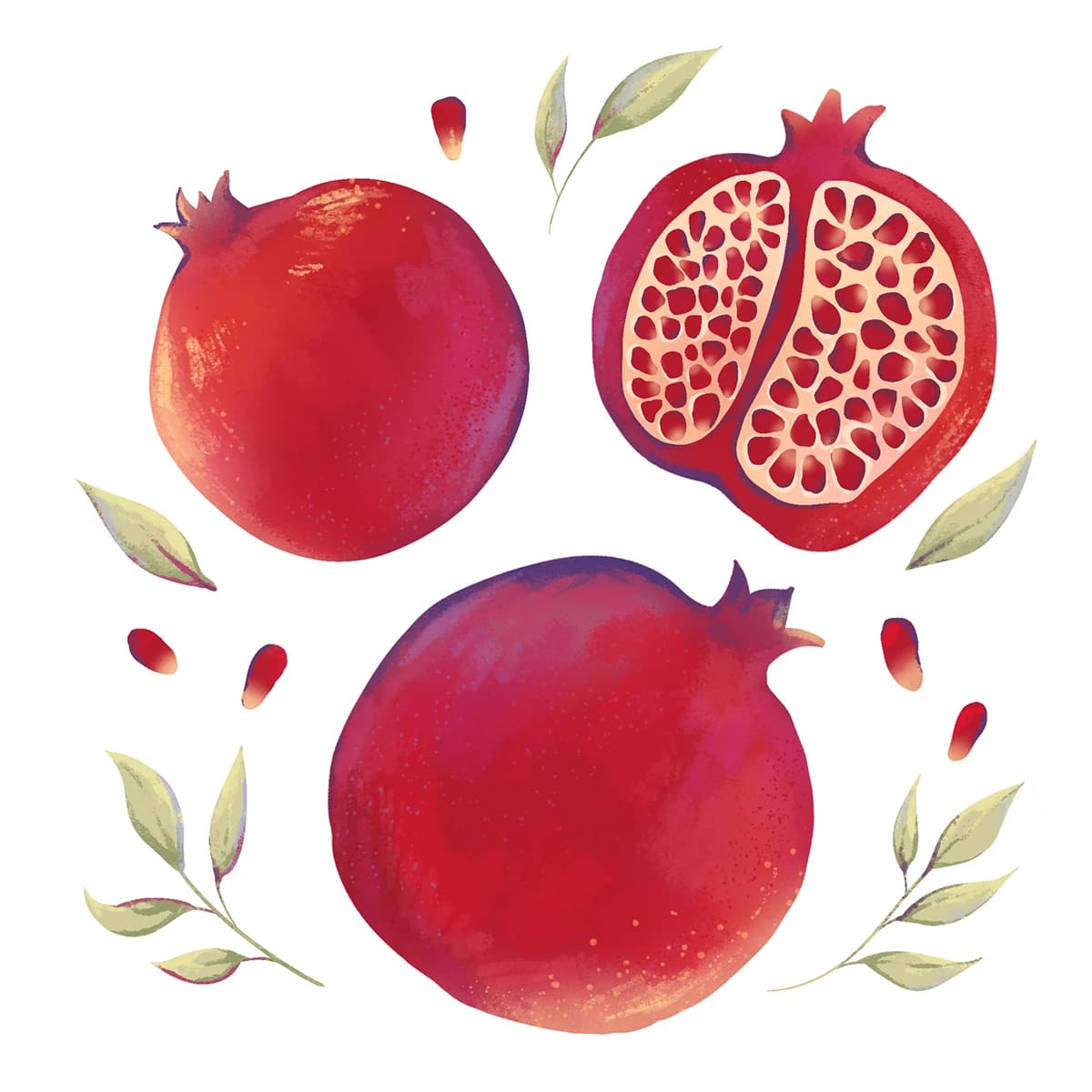 ILLUSTRATION Nature Illustrator digital illustration арт botanical illustration Fruit Digital Art book
