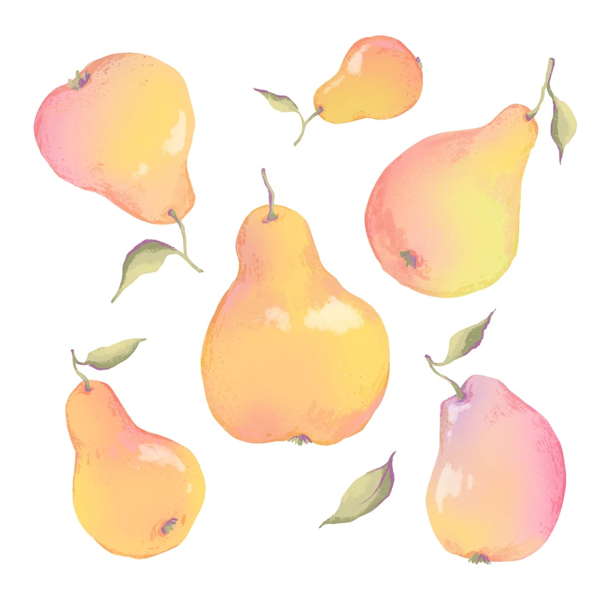 ILLUSTRATION Nature Illustrator digital illustration арт botanical illustration Fruit Digital Art book