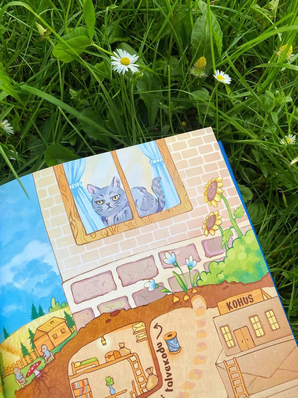 Musta Mulla Vabariik - Children Book Illustration, photo 3