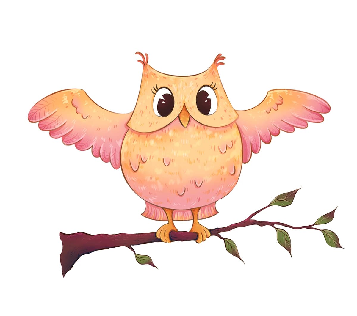 ILLUSTRATION cartoon Character design adobe illustrator book owls birds animals арт digital